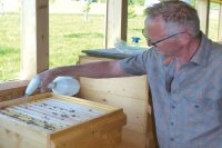 HYDROXIL "Reine Biene" 1L