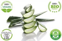 Buch Aloe Vera: Steter Tropfen stärkt die Gesundheit