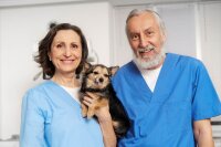 HYDROXIL - Pets & Breeding 200L