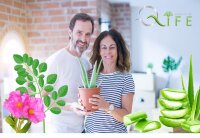 Q-Life Aloe Vera, Cistus Incanus, Moringa